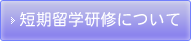 短期留学研修について